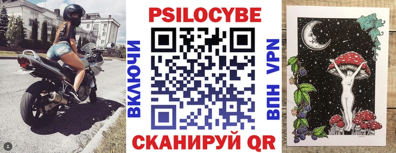 hydra tor  Ясный  Галлюциногенные грибы Cubensis 